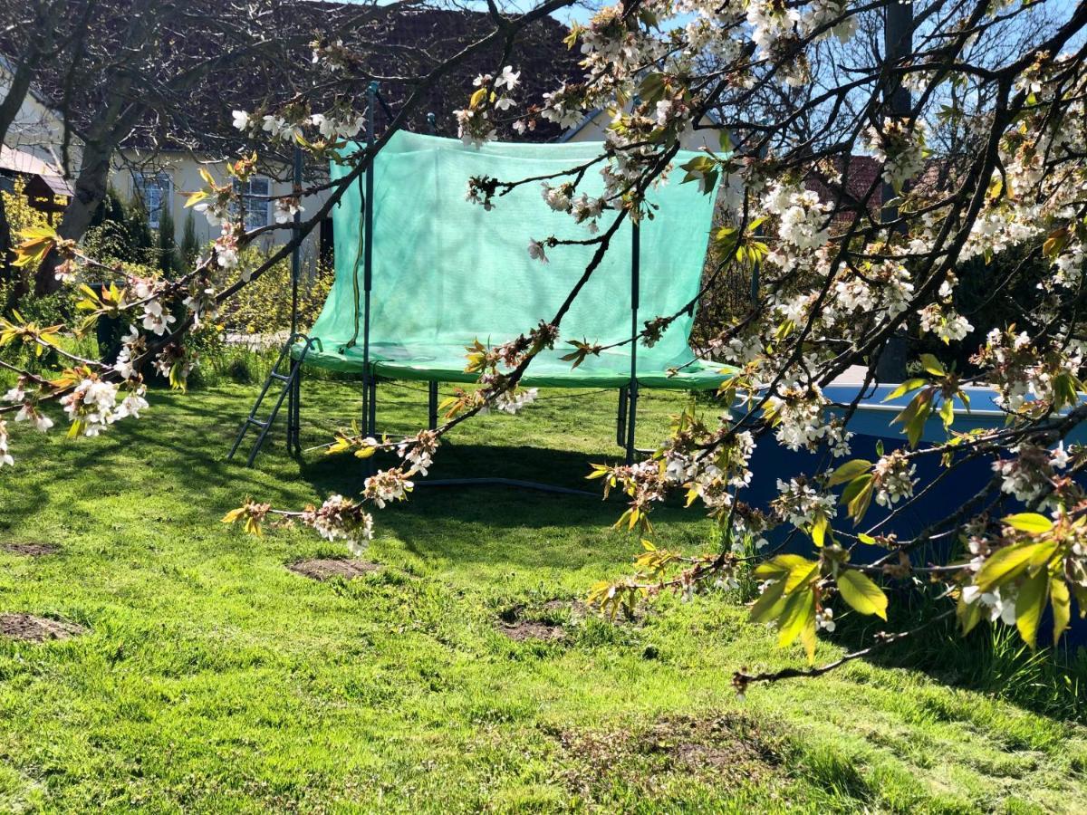 Apartmany Jílovice 외부 사진