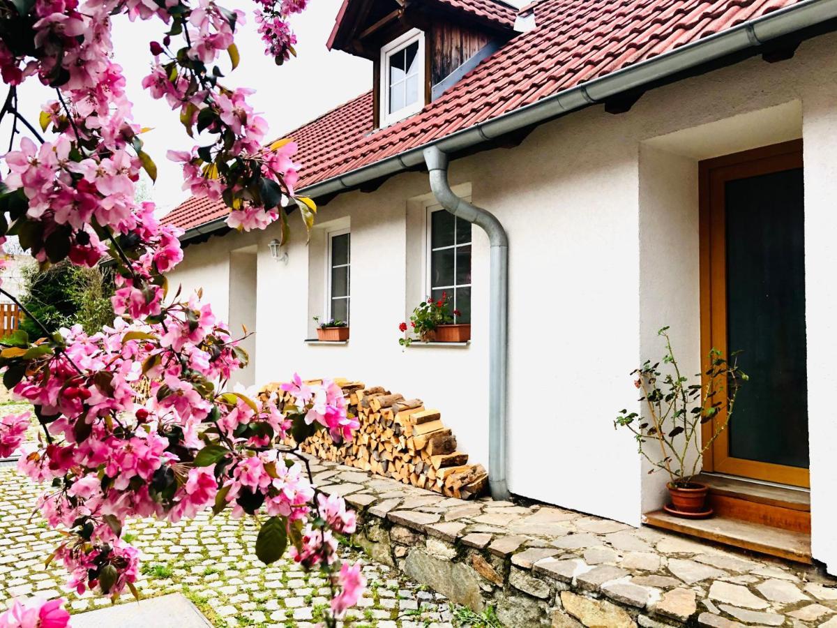 Apartmany Jílovice 외부 사진